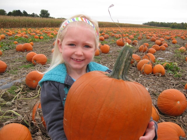 web1_pumpkin-picking.jpg